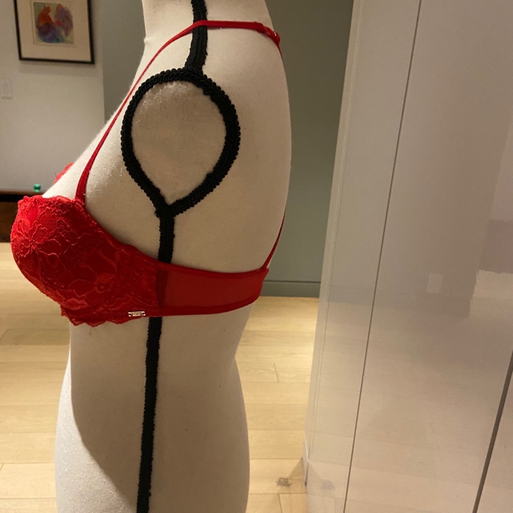 Red Lace Bra - Picture 4 of 8